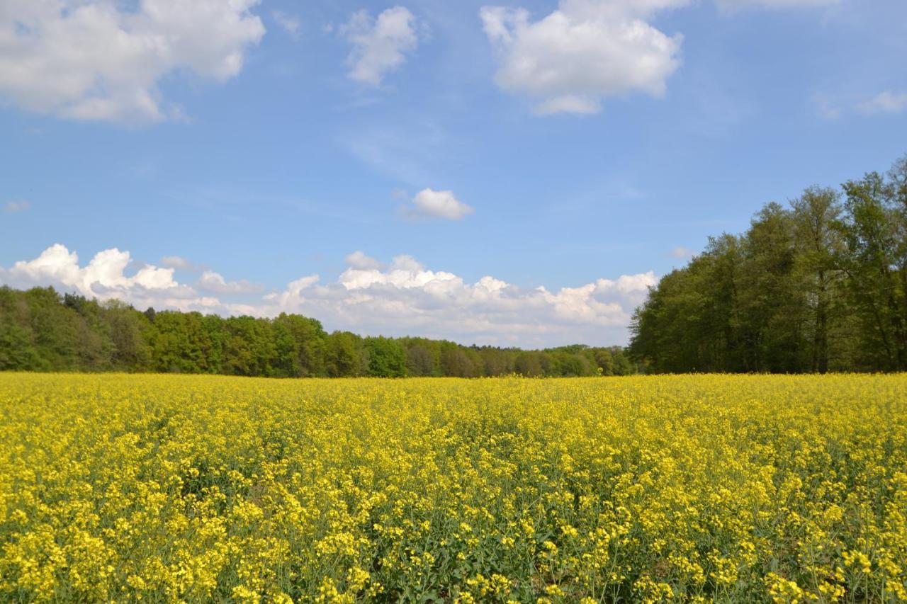 Zauber Der Pfalz Romerberg Eksteriør bilde